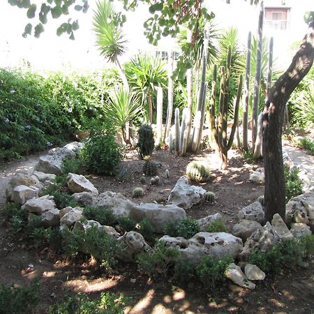 B&B Solacium Matera Dış mekan fotoğraf