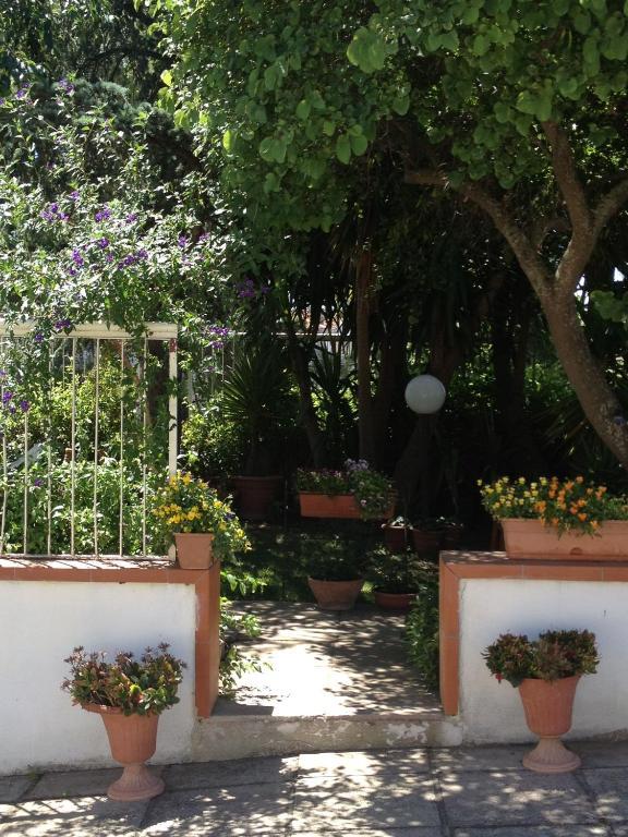B&B Solacium Matera Dış mekan fotoğraf