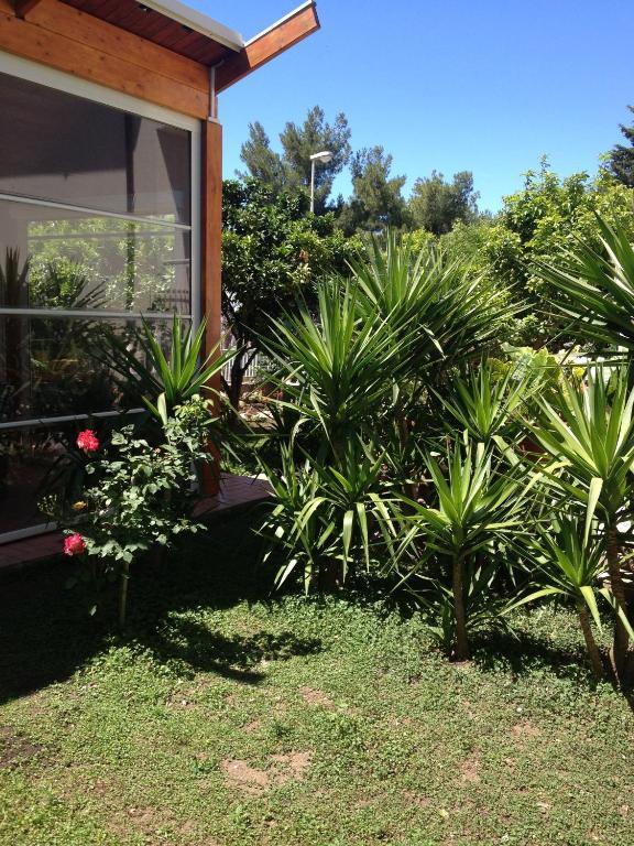 B&B Solacium Matera Dış mekan fotoğraf