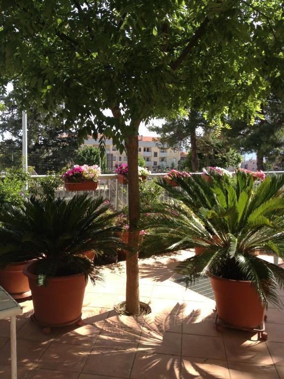 B&B Solacium Matera Dış mekan fotoğraf